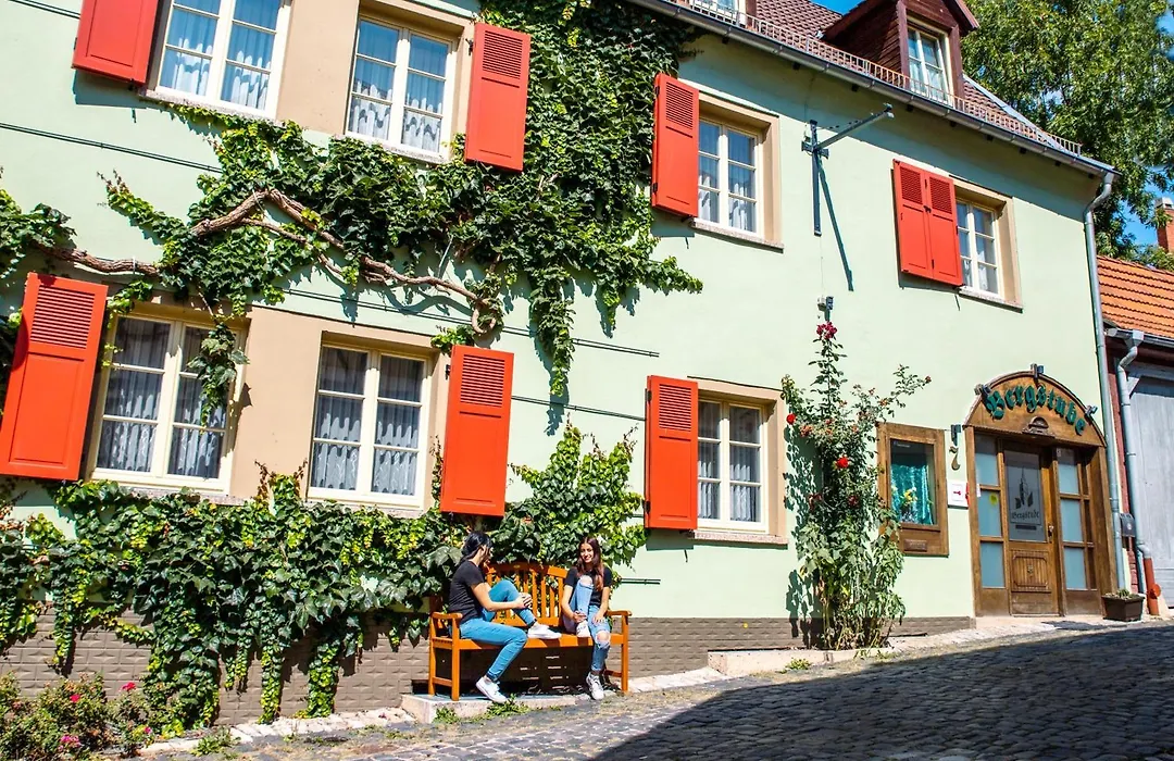 Pension Bergstube-1