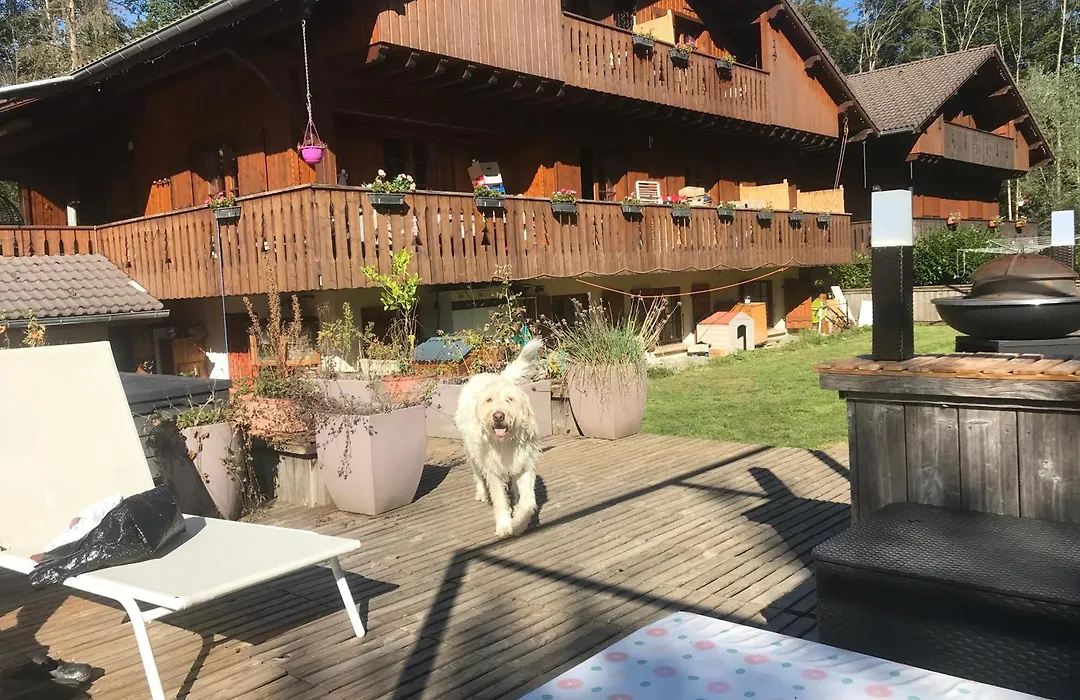 Chalet Esprit-1