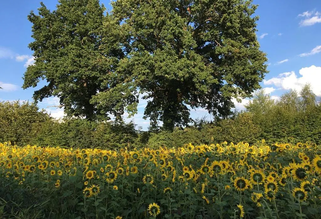 BED&BREAKFAST für Individualisten in Gemeinde Scharbeutz, auch Allergiker-1