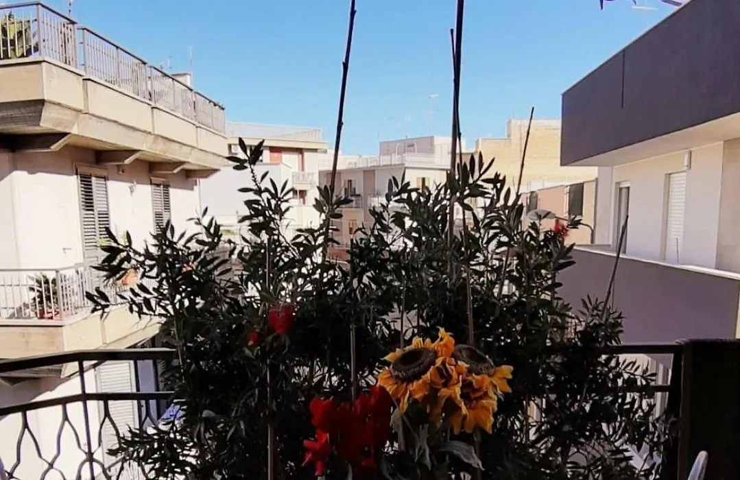 Le mille e una Puglia - Stories&Experiences-1