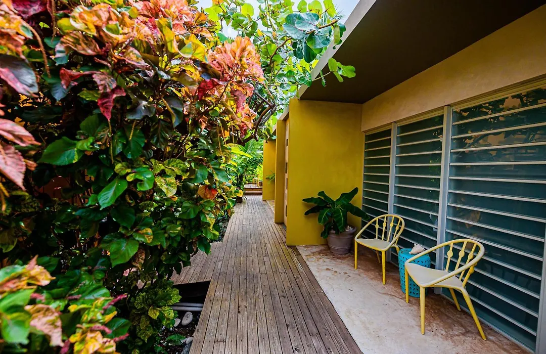 Casa De Amistad Guesthouse-1