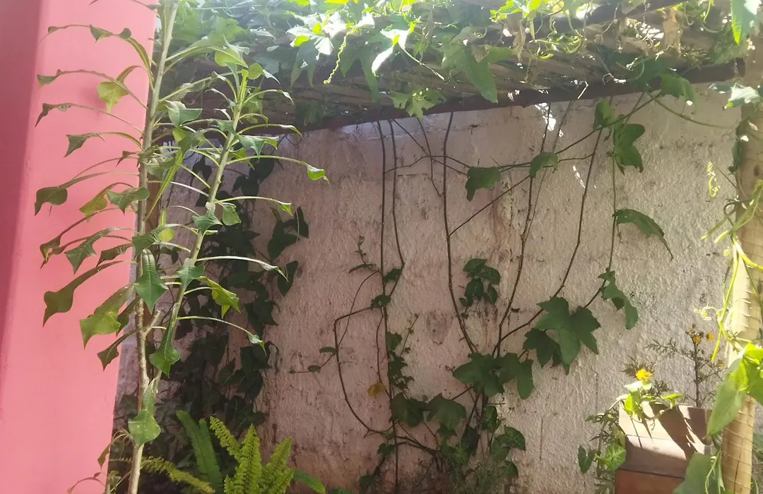 Pousada incrível, silenciosa e familiar-1
