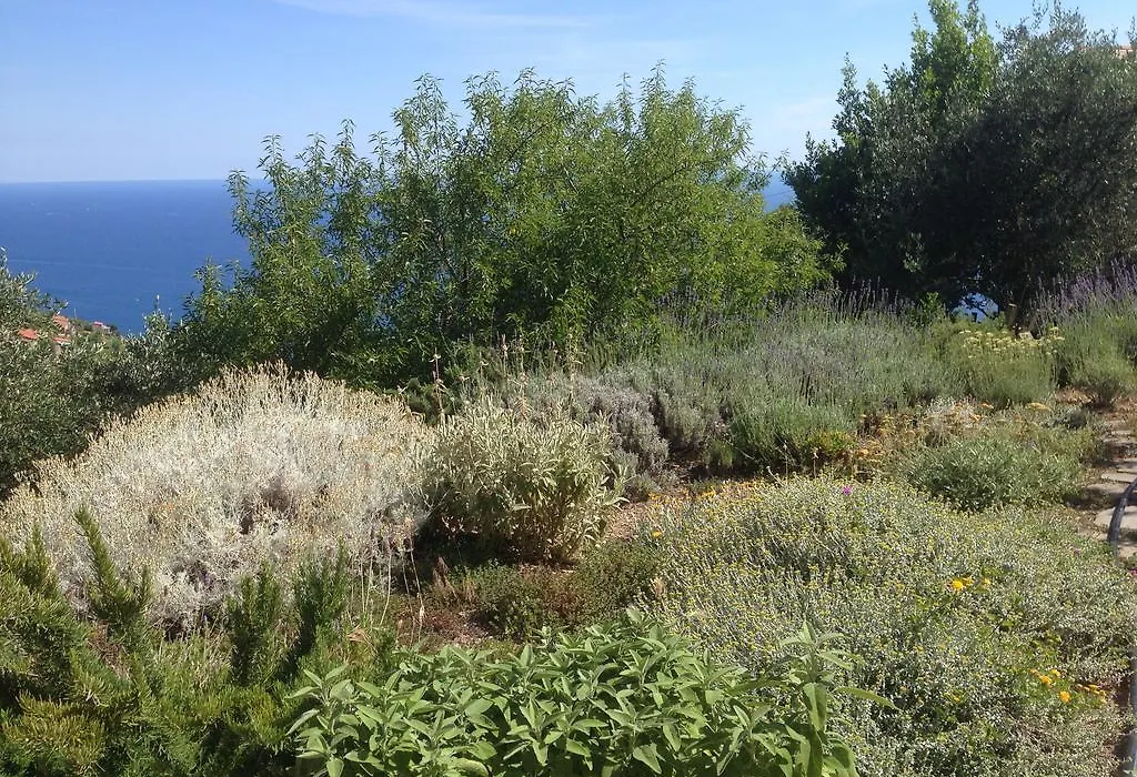 Il Nettare-1