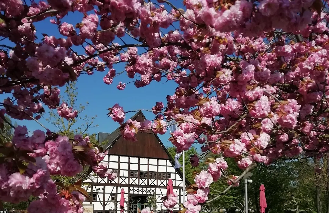 Hof Hueck-1