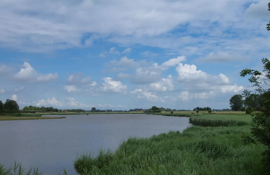 De Eenhoorn-1