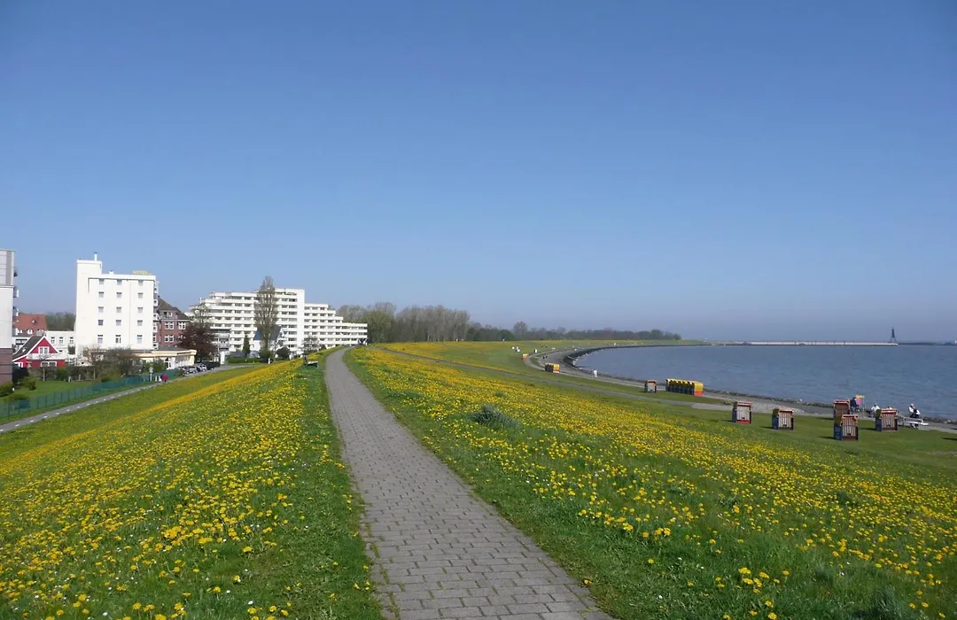 Seehotel Neue Liebe-1