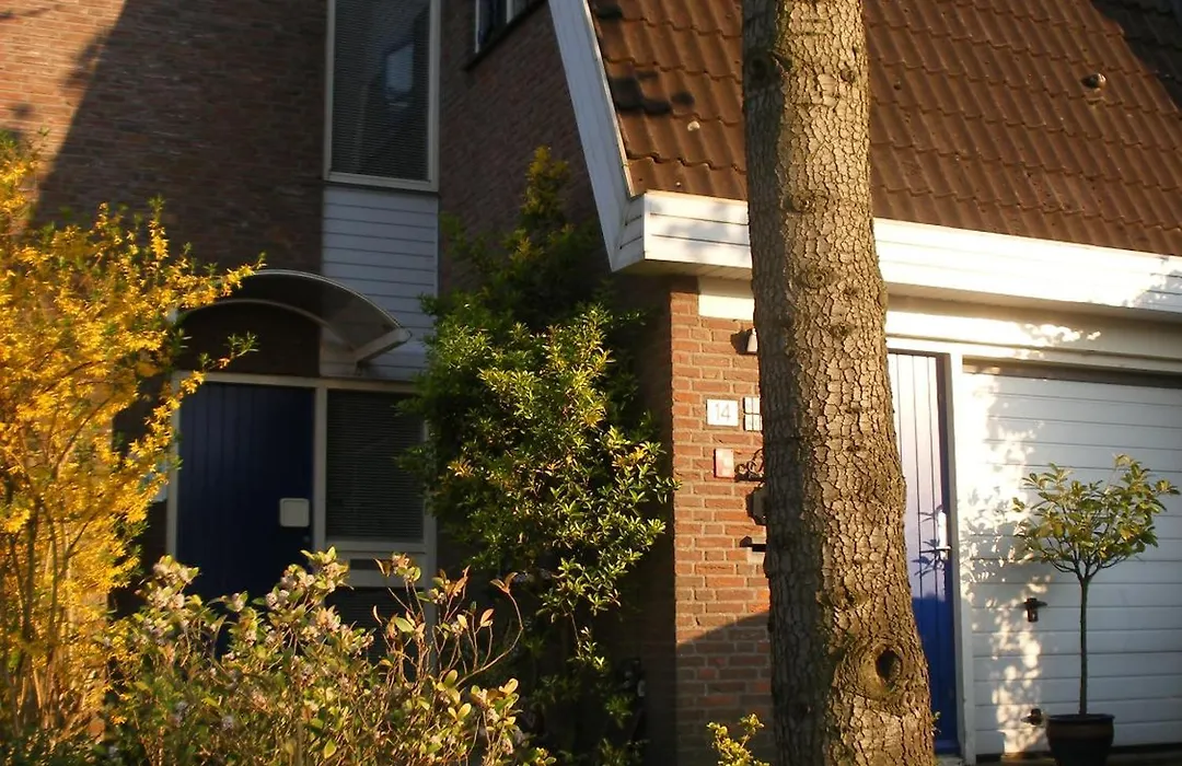 B&B-Edam-1