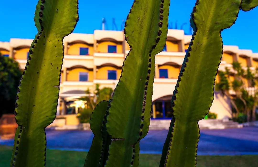 Araba Fenice Village-1