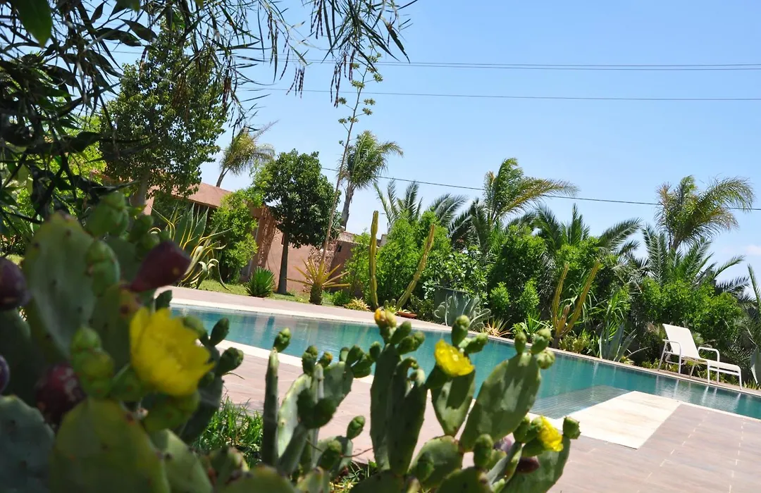 Riad Hamdani-1