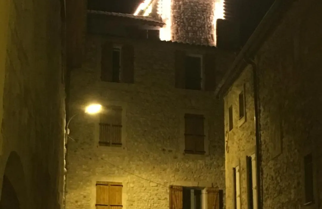 Couvent des Carmes-1