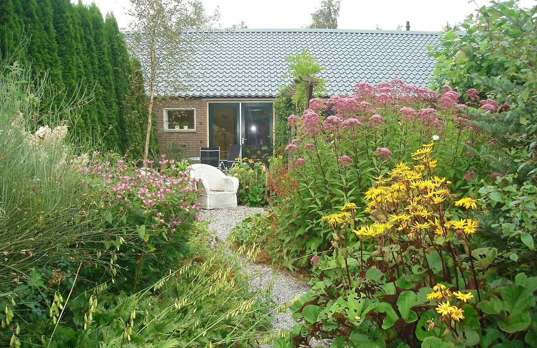 Roing B&B-1