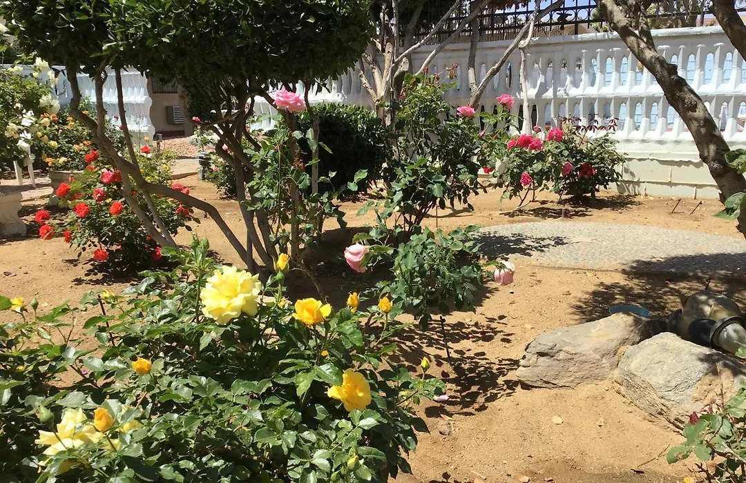 Americas Best Value Inn And Suites -Yucca Valley-1