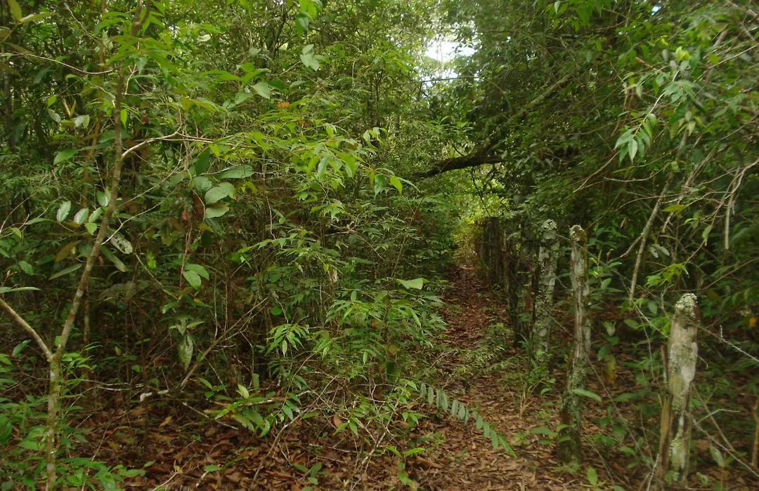 Pousada Jardim da Chapada-1