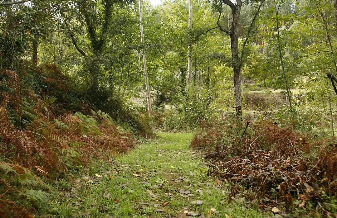 Vila Dos Castanheiros-1