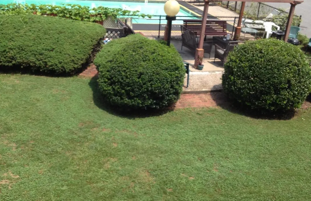 Ridge Top Motel - Bryson City-1