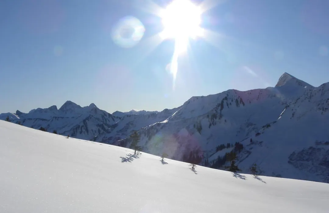 Hotel Alpenblume-1
