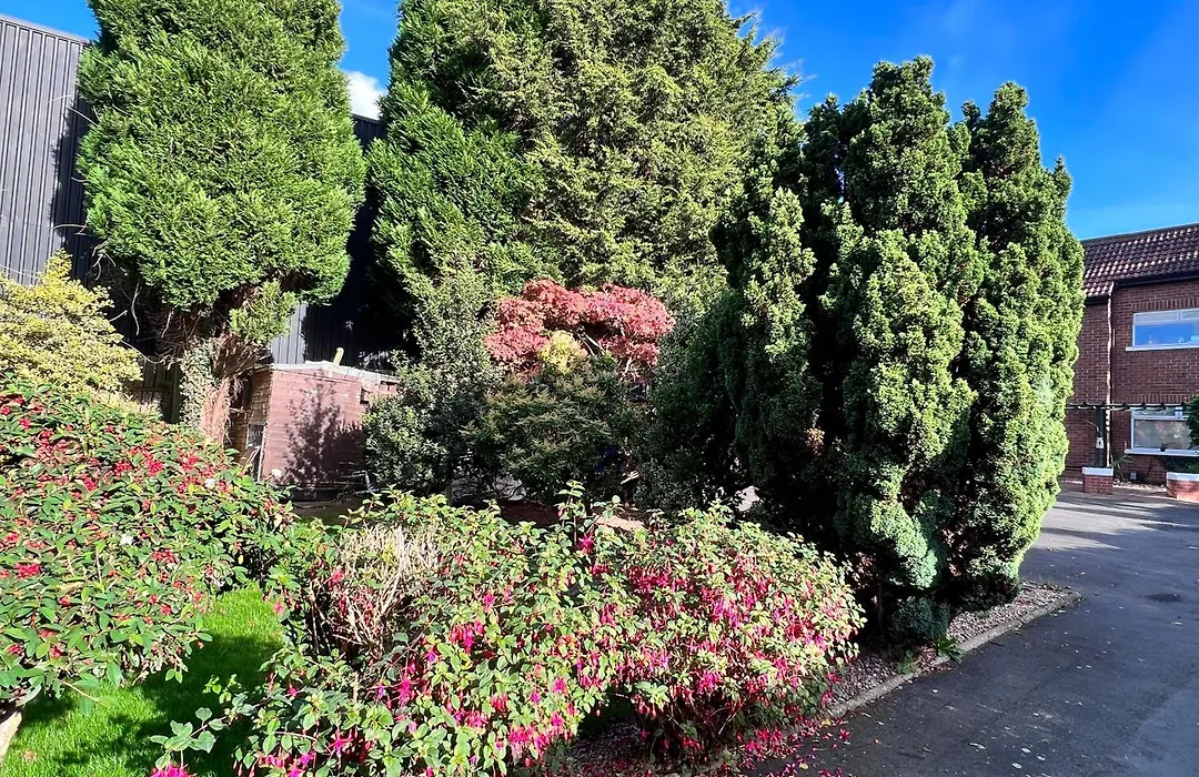 Ashfield Bed & Breakfast-1