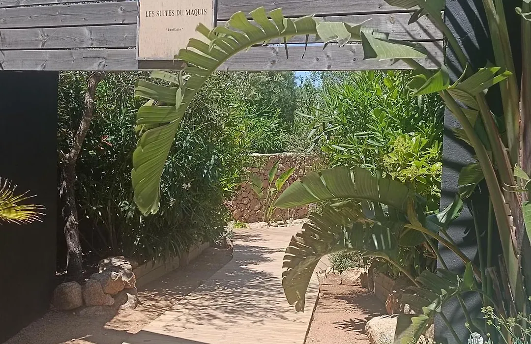 Les Suites Du Maquis-1