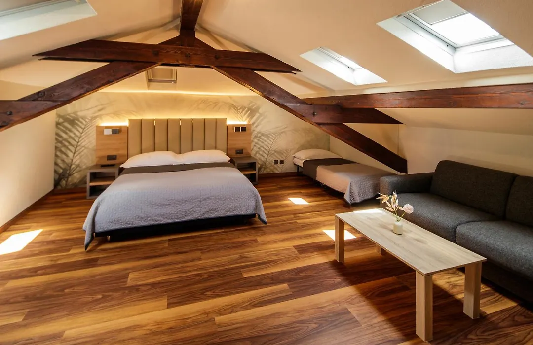 Albergo Mirador Ascona-1
