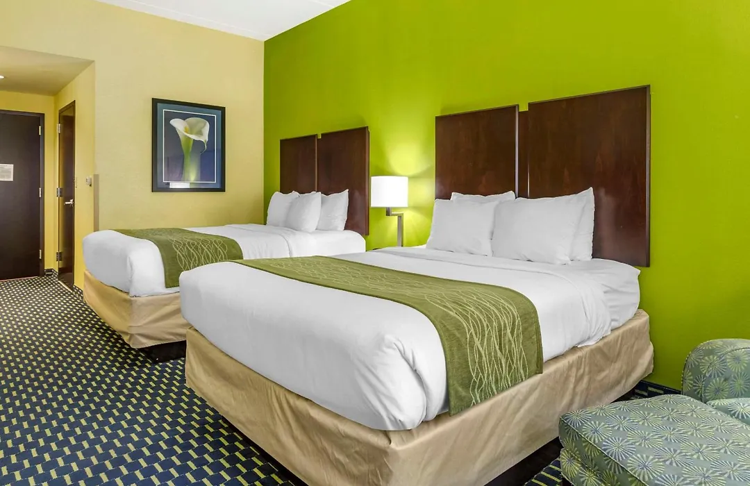 Comfort Inn Athens I - 75-1