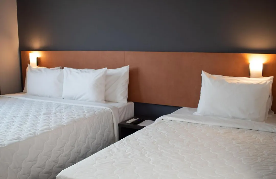 Comfort Hotel Presidente Prudente-1