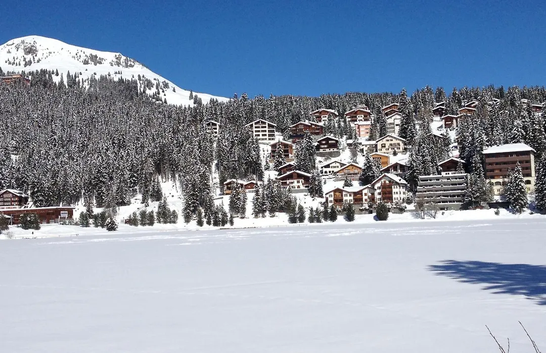 Arosa Alpine Club - Adults Only-1
