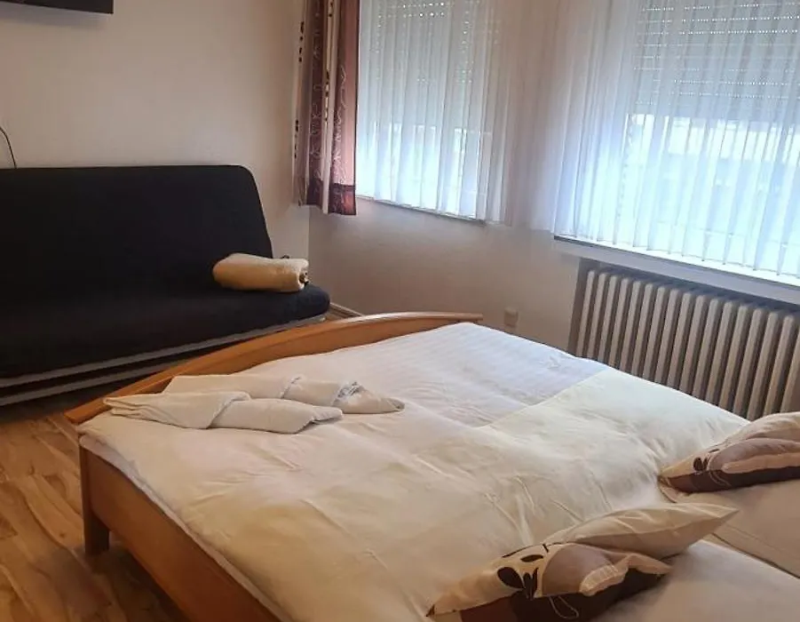 Hotel Zur Aue-1