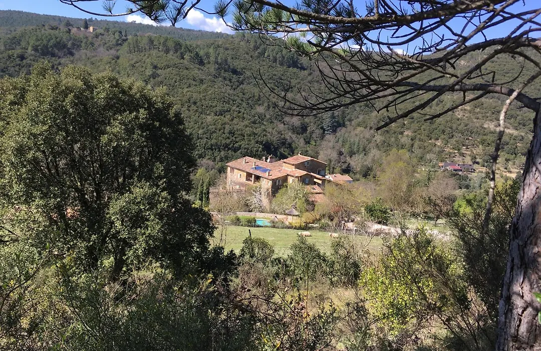 Mas Suéjol-1