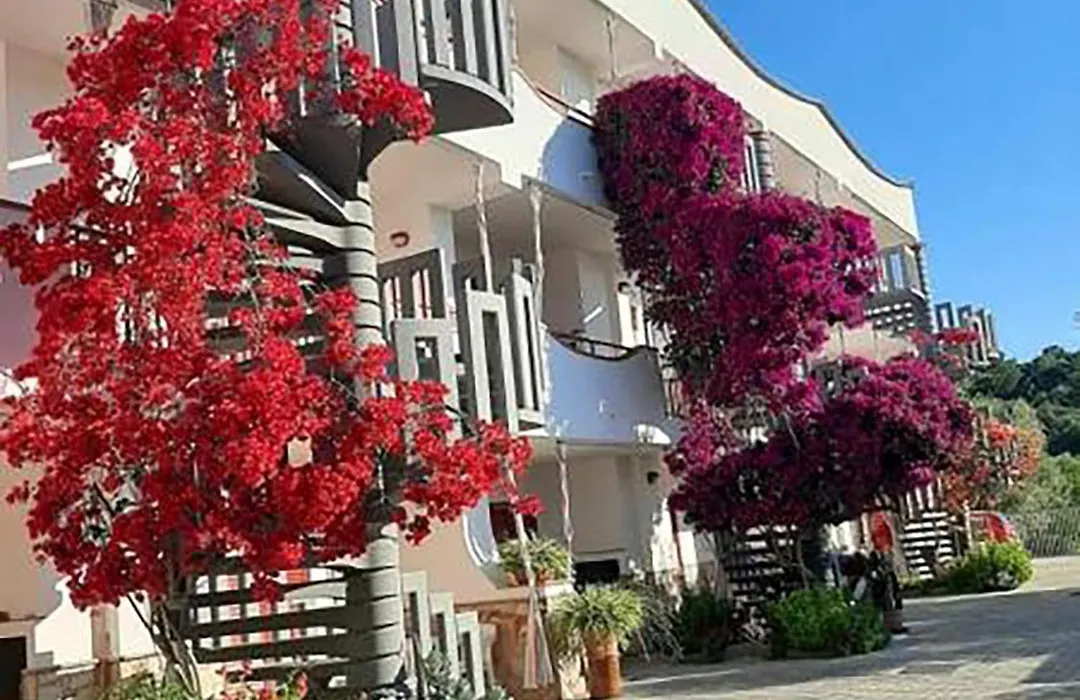 Residence Jolly-1