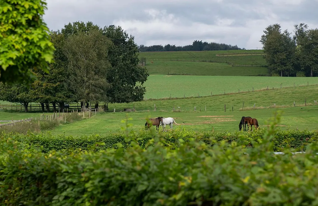 B&B Bertem Natuur-1