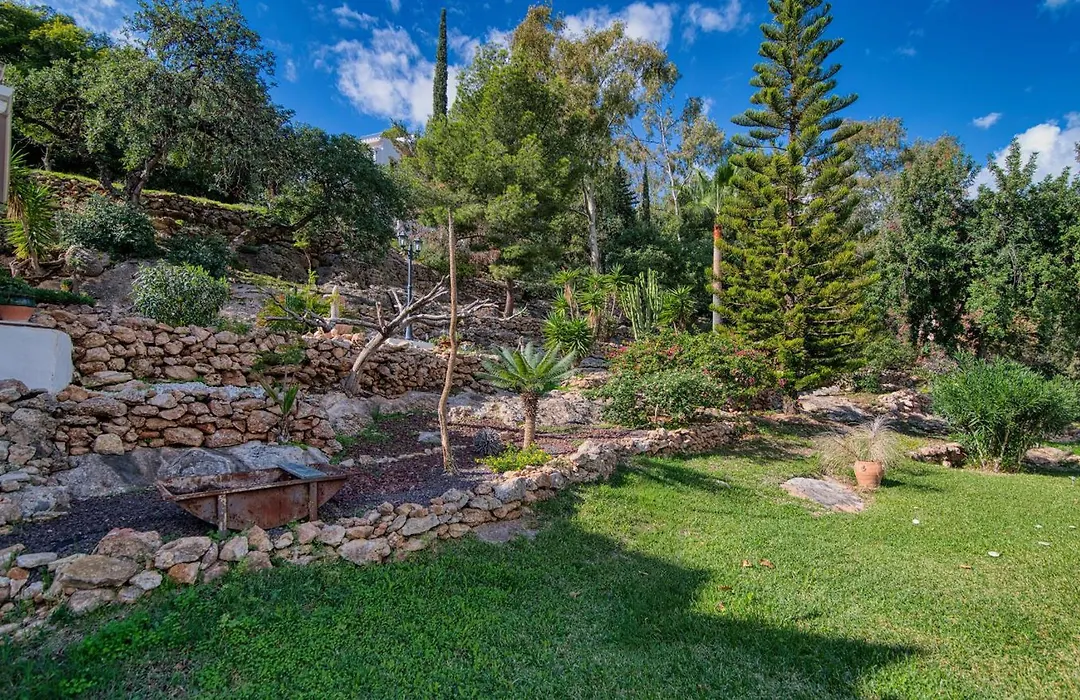 Villa Morera Bed & Breakfast-1
