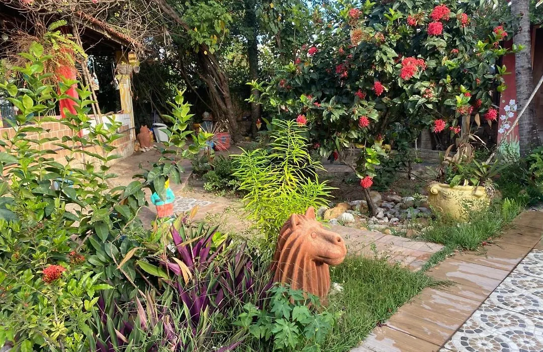 Pousada Casa Colorida-1