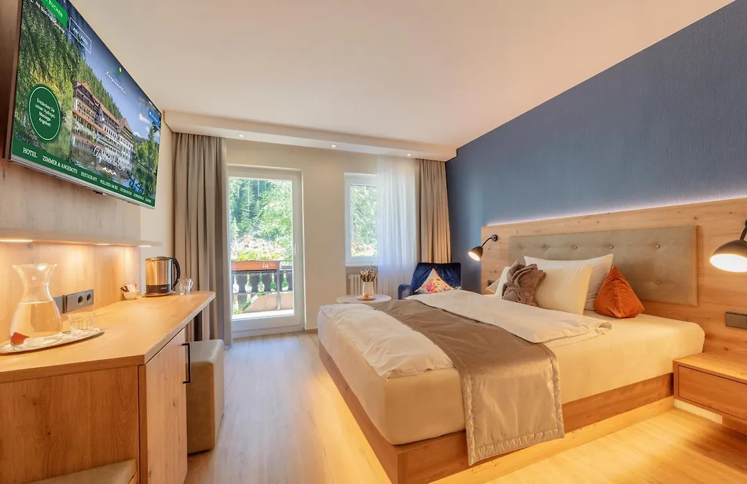 Hotel Langenwaldsee-1