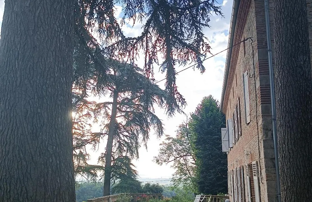 Le Jardin Des Cèdres-1