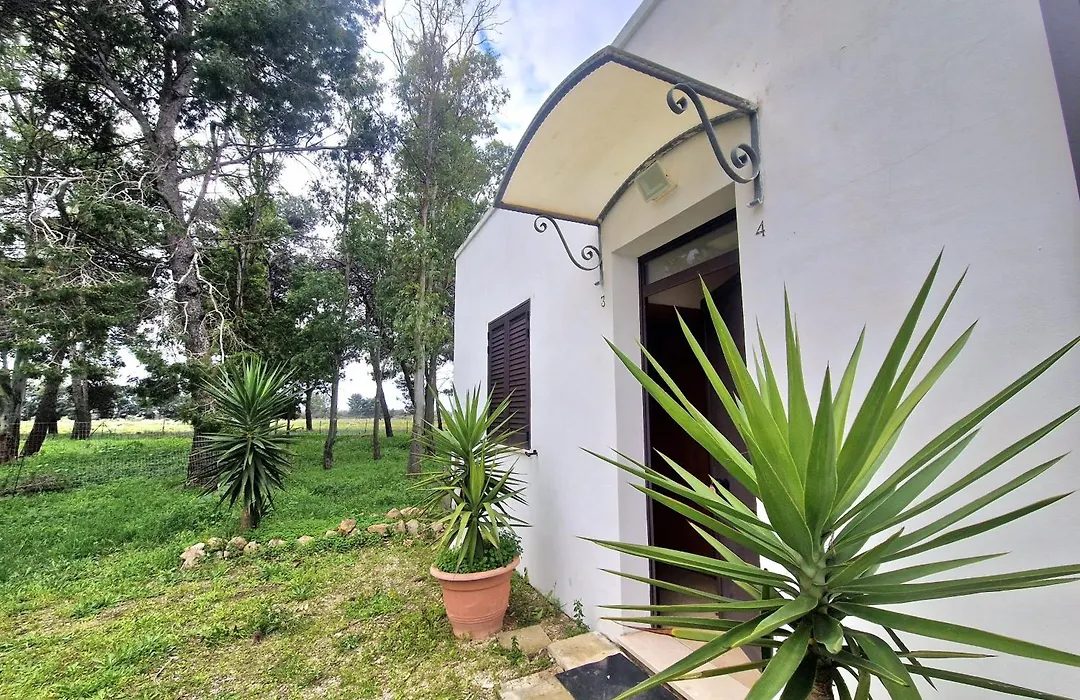Agriturismo Twin Tails - Sant'Isidoro-1