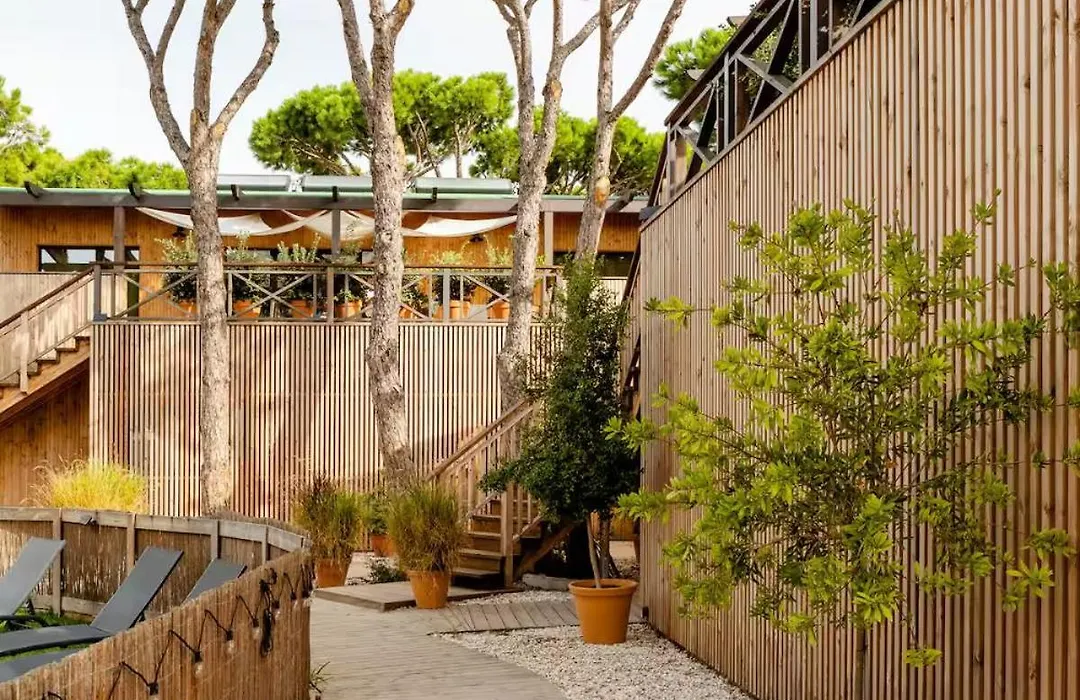 Apartamentos Biopasivos Living Pura Madera-1