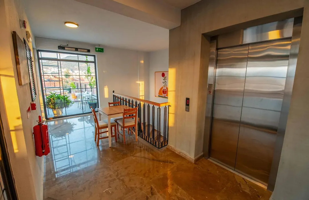 Belci City House-1