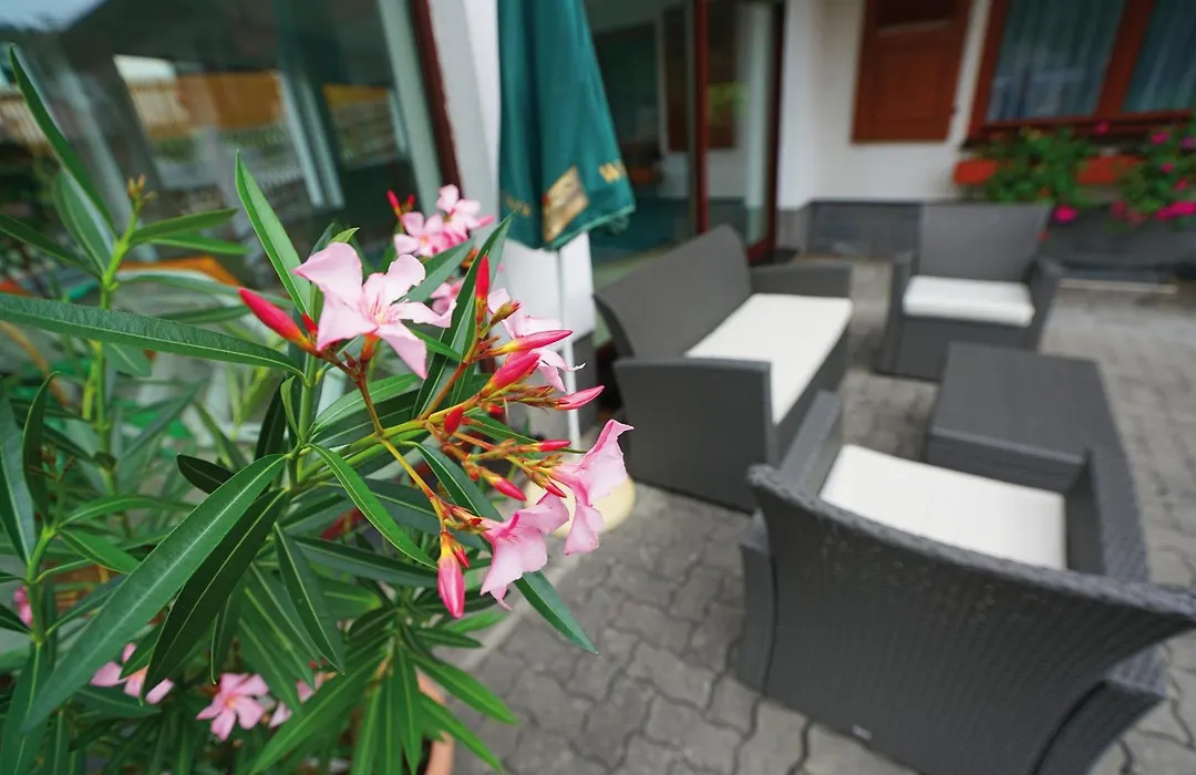 Landhotel Gasthof Zwota-1