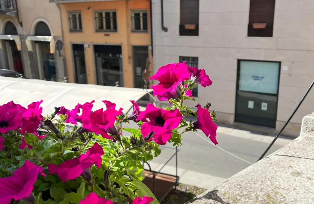 La Terrazza Vercelli Bed&Charme-1