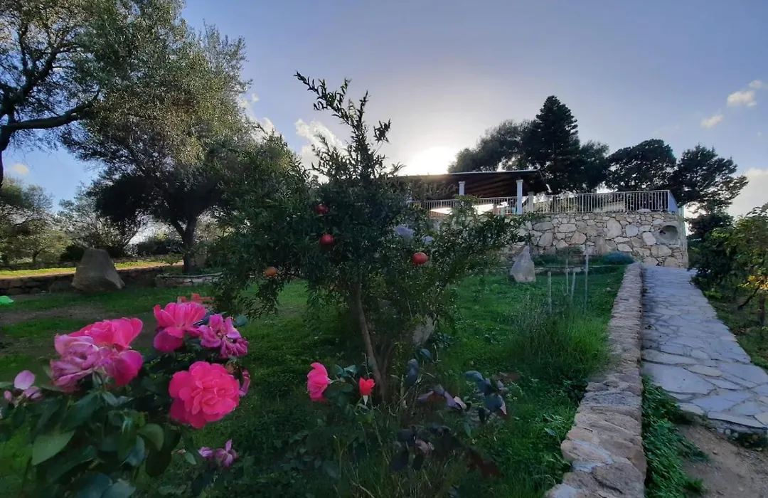 B&B La Taerra-1