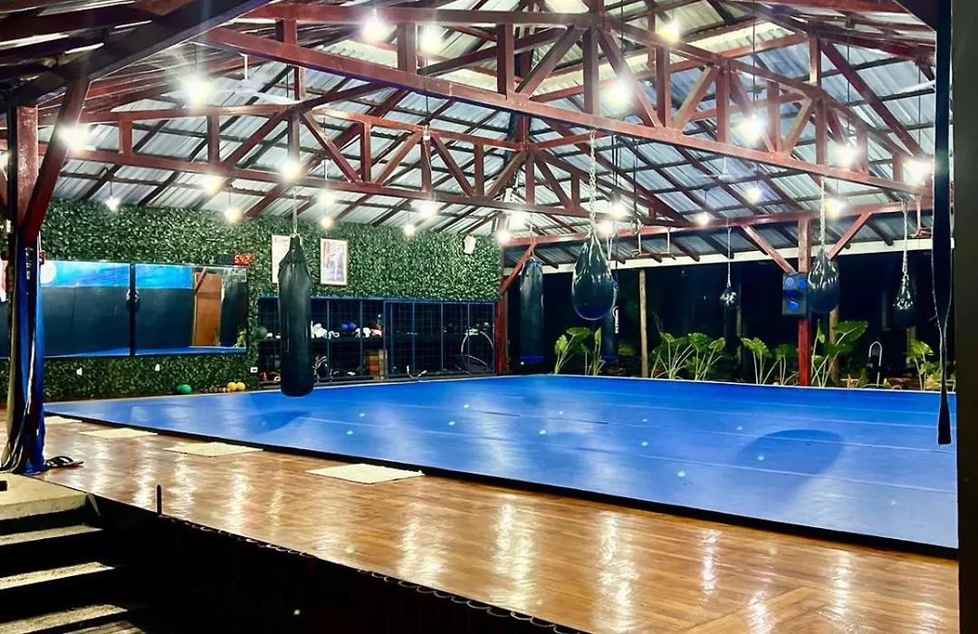 Jungles Edge Hotel, Jiu Jitsu, Muay Thai Retreat Center-1