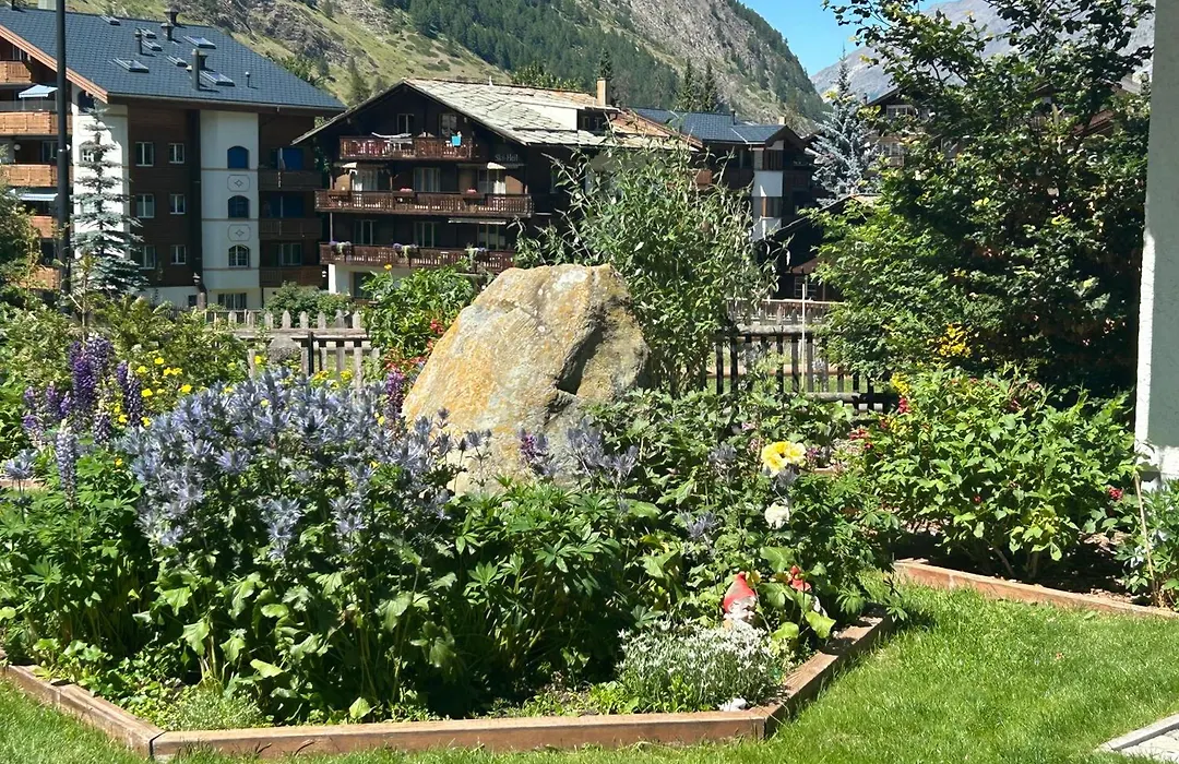 Hotel Adonis-1