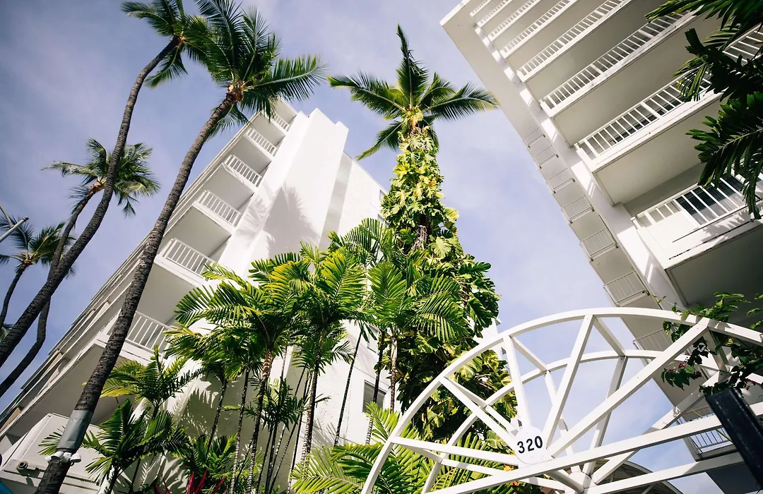 Oasis Hotel Waikiki-1