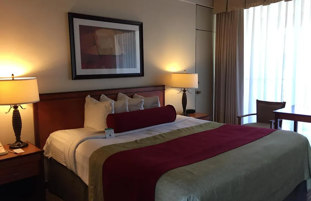 Mikado Hotel-1