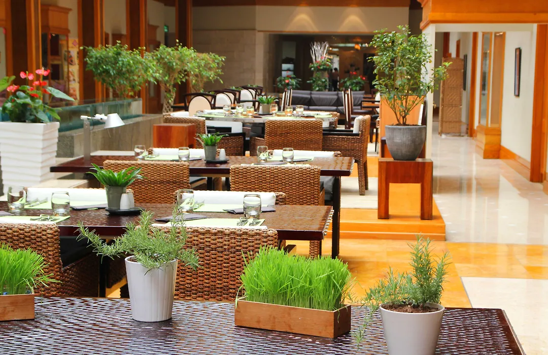 Radisson Blu Hotel, Dubai Deira Creek-1