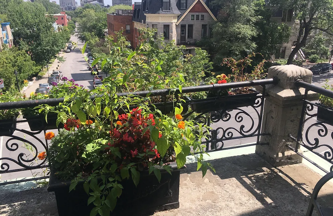 Hotel De Paris Montreal-1