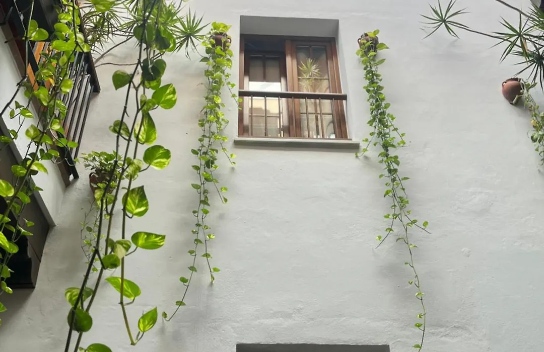 Hostal Al-Andalus-1