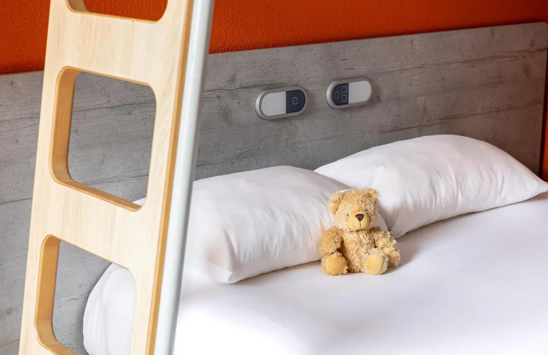 Ibis Budget Albi Centre-1