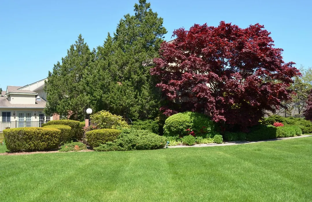 Southampton Inn-1