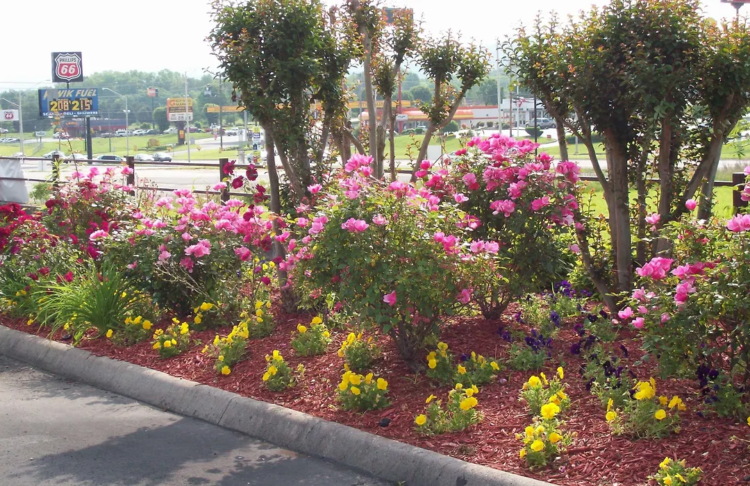 Quality Inn Clinton-Knoxville North-1